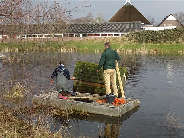 Eendenhuisje 2